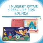 Ditty Bird Bird Songs Sound Book