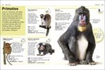 Animals Pocket Eye Witness Fact Book