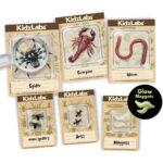 4M KidzLabz Creepy Crawly Digging Kit