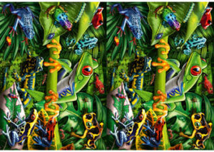 Ravensburger Amazing Amphibians Puzzle 35pc