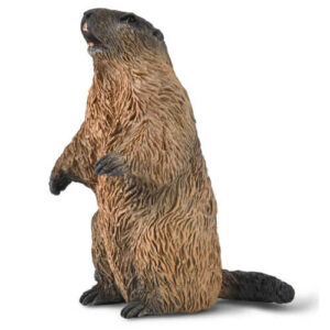 CollectA 80044 Marmot