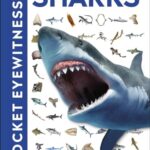 Pocket Eyewitness DK Sharks Book