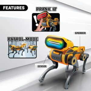 SILVERLIT YCOO Robo Express