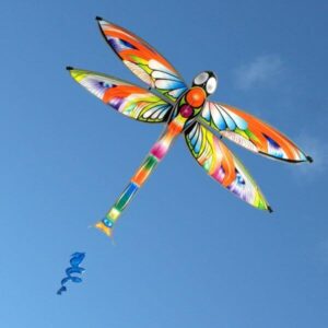 Windspeed Dragonfly Single String Kite
