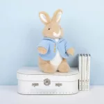 Classic Peter Rabbit 25cm