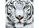 Crystal Art Snow Tiger Kit