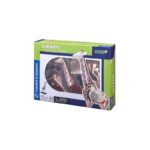Thames & Kosmos Giraffe Anatomy Model