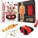 Abacus VR Gift Box Human Body!