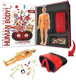 Abacus VR Gift Box Human Body!
