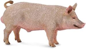 CollectA 88864 Boar