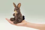 Folkmanis FM2675 Mini Jack Rabbit Finger Puppet