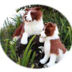 Fudge Border Collie Lying 62cm Bocchetta Plush
