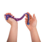 3D Sensory Dragon Assorted