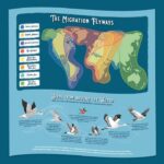 Ridleys Bird Lovers 1000 Piece Jigsaw