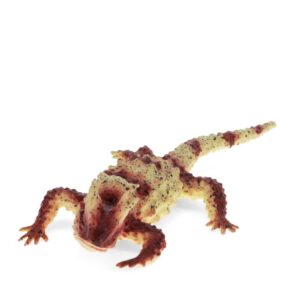 Rex London Realistic Horned Lizard