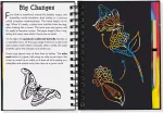 Scratch & Sketch Bugs Trace-Along