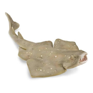 CollectA 88999 Angel Shark