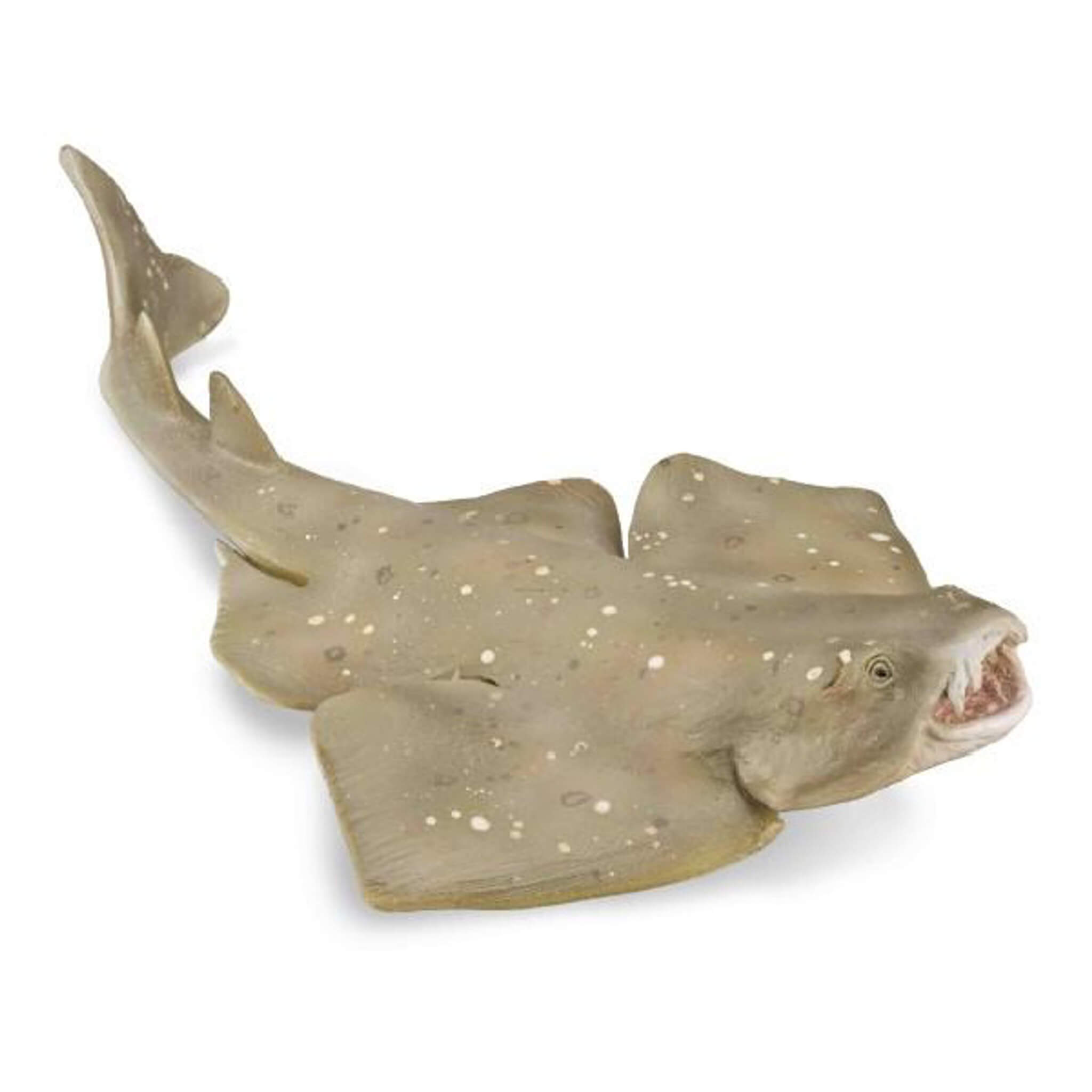 CollectA 88999 Angel Shark
