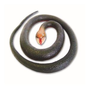 Red-Bellied Black Snake 46cm