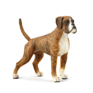 CollectA 88936 Boxer