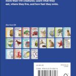 Pocket Eyewitness DK Sharks Book