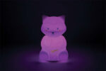 Racoon LED Night Light