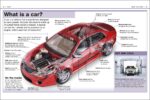 Pocket Eyewtiness Cars