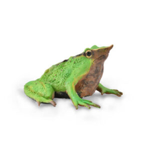 CollectA 88938 Darwin's Frog