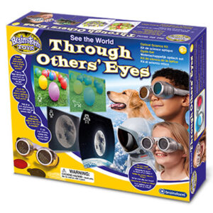 Brainstorm - See The World Through Others Eyes
