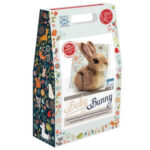 Bunny Hoop Needle Felt Crafty Kit