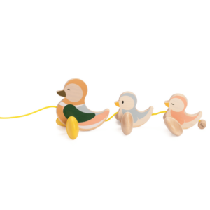 Classic World Pull Along Duck