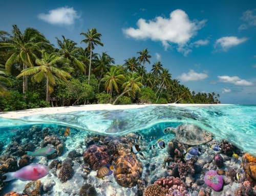 Ravensburger A Dive in the Maldives Puzzle 2000pc