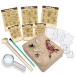 4M KidzLabz Creepy Crawly Digging Kit