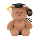 Graduation Bear with Message Card 20cm