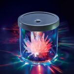 4M Crystal Growing Kit Colour Changing Light Up Display