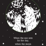 Twinkle Twinkle Little Star Shadow Book