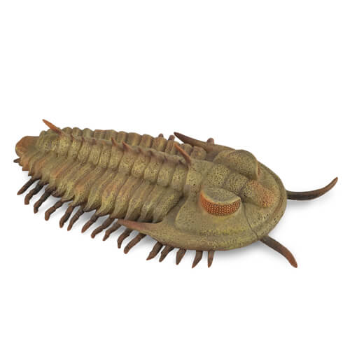 CollectA 88906 Redlichia Rex Trilobite