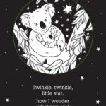 Twinkle Twinkle Little Star Shadow Book