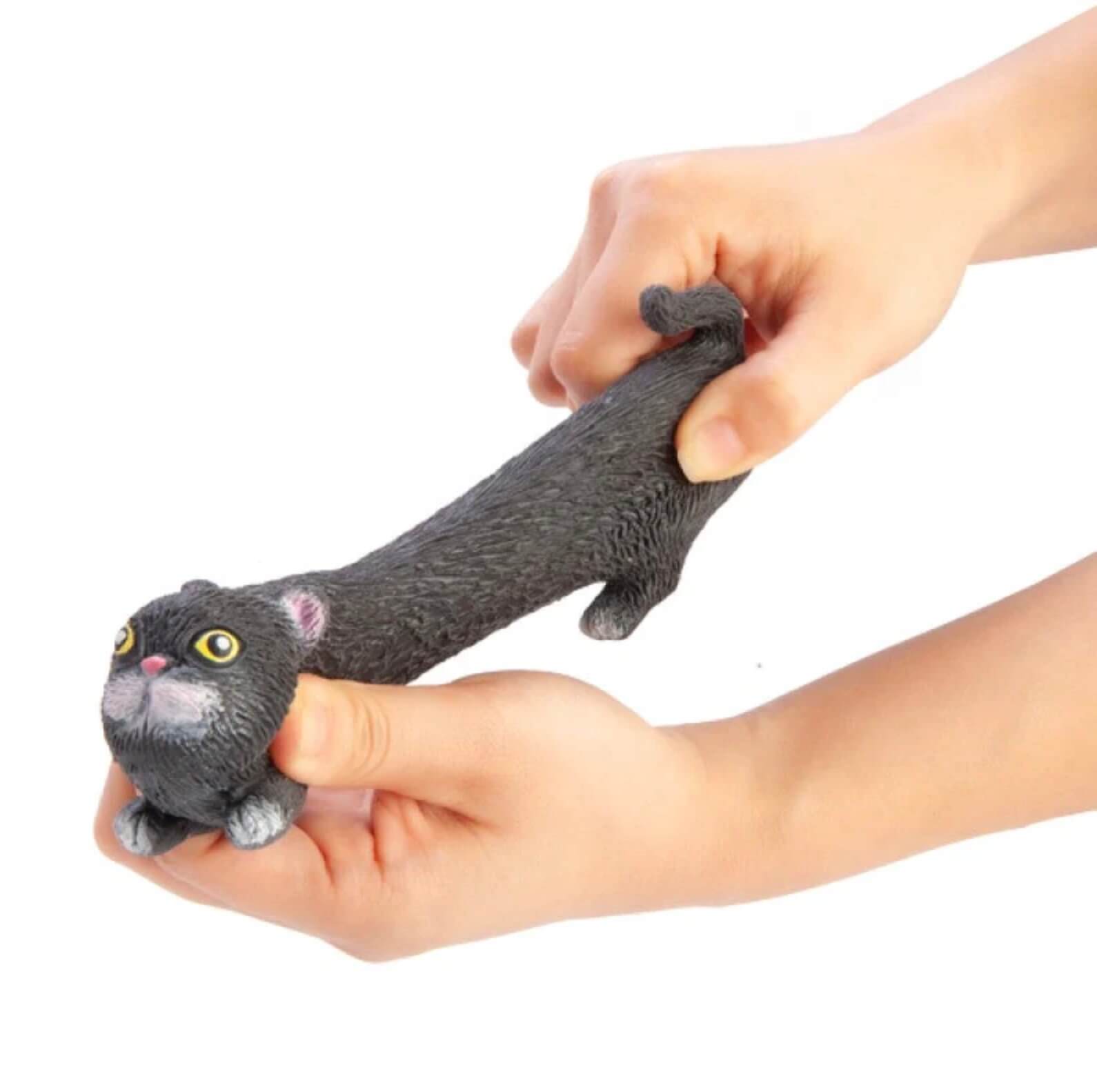 Pullie Pal Stretchy Cat