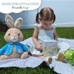 Peter Rabbit Jack In The Box