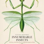 Innumerable Insects