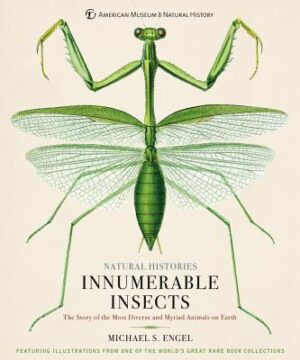 Innumerable Insects