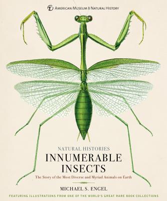 Innumerable Insects Innumerable Insects