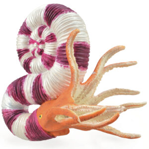 CollectA 88927 Pravitoceras