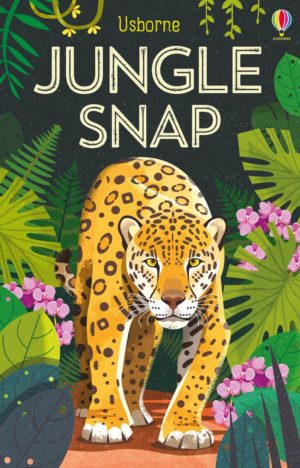 Usborne Jungle Snap Cards