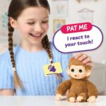 Little Live Pets My Baby Monkey Minis Asst