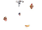Wasgij? Original 30 Strictly Can't Dance! Puzzle 1000pc