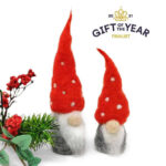 Nordic Gnomes Needle Felt Crafty Kit