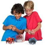 Hexbug Tarantula Battle Ground