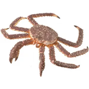 CollectA 88851 King Crab